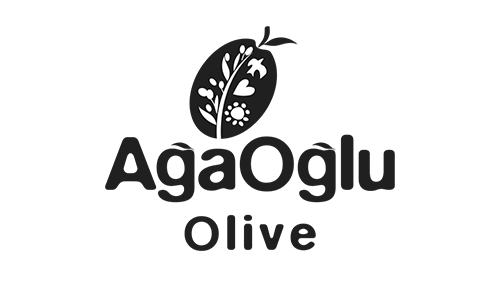 logo2