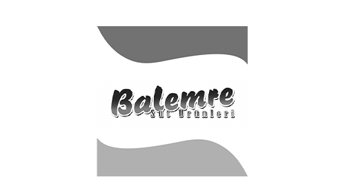 logo8